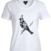 Ladies Tee - On Special! Thumbnail